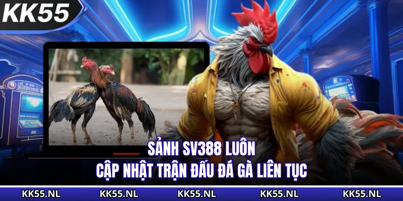 Sảnh SV388 luôn cập nhật trận đấu đá gà liên tục