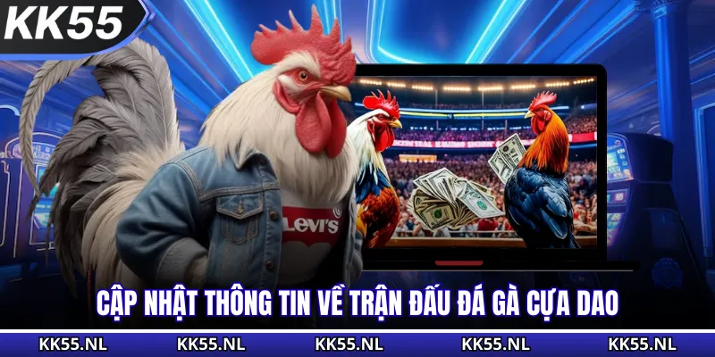 Cập nhật thông tin về trận đấu đá gà cựa dao